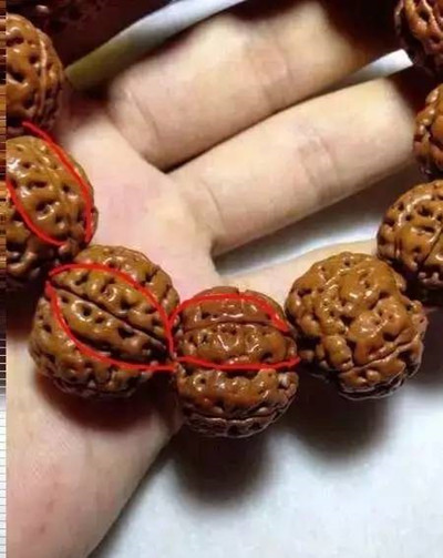 金刚菩提废籽有哪些