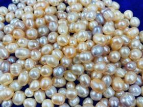 淡水珍珠产地有哪些