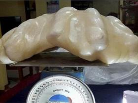 世界上最大的珍珠是什么