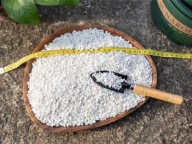 珍珠岩是什么东西